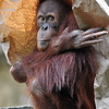 Zoo : 